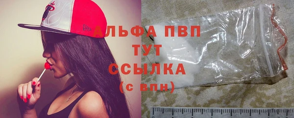 стафф Тобольск