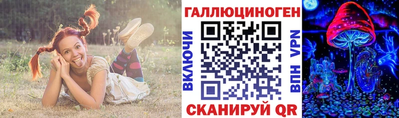 Псилоцибиновые грибы Psilocybine cubensis  Медногорск 