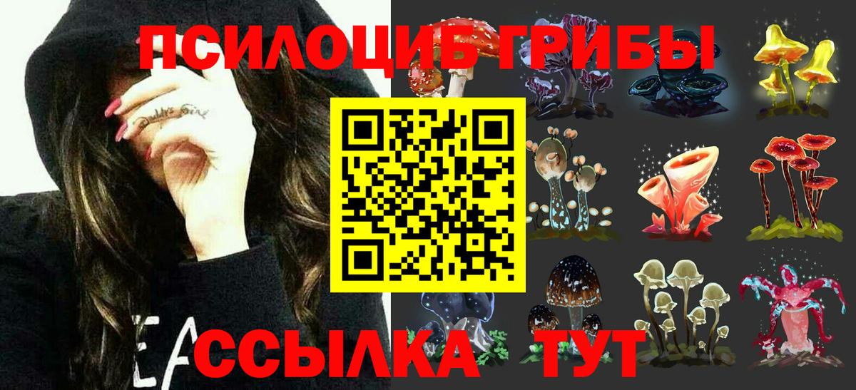 Псилоцибиновые грибы ЛСД Медногорск